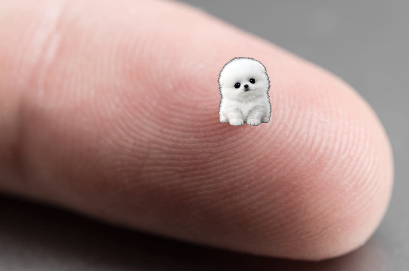 micro dog 2